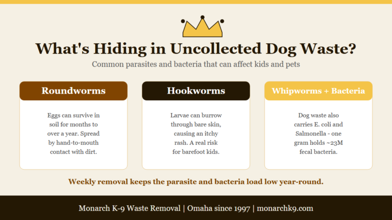 Infographic: common dog-waste parasites and health risks for kids and pets in Omaha.