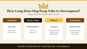 How Long Does Dog Poop Take to Decompose?