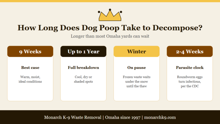 Infographic: how long dog poop takes to decompose, from nine weeks to a year - Monarch K-9, Omaha NE.