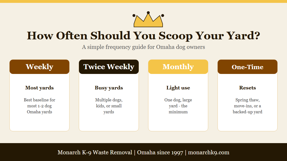 Infographic: how often to pick up dog poop in your yard - Monarch K-9, Omaha NE.